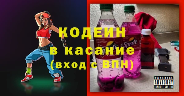 хмурый Нея