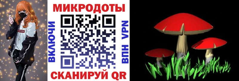 Псилоцибиновые грибы Magic Shrooms что такое Черноголовка